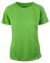 Swan Safety green
