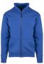 Cheetah Cornflower blue
