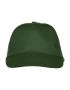 Texas Cap Bottle Green