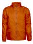 Winton Orange