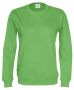 Crew Neck Man Green