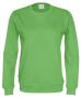 Crew Neck Man Green