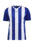 Progress Jersey Stripe M Club Cobolt