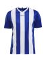 Progress Jersey Stripe M Club Cobolt