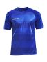 Progress Jersey Graphic M Club Cobolt