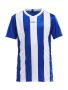 Progress Jersey Stripe JR Royal Blue
