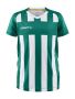Progress 2.0 Stripe Jersey Jr Team Green/White