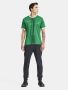 Progress 2.0 Graphic Jersey M Team Green-White