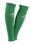Premier Athlete Socks W-O Foot Green