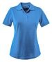 Albatross Bright blue