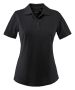 Albatross black