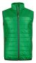 Expedition
Vest Men Fresh Green