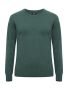 Oakville Crewneck Women Pine Green