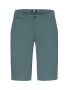 Edgemont Shorts Men Pine Green