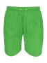 Surf Pines Swim Shorts Lime Green
