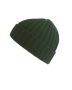Green beanie Shore Bottle green