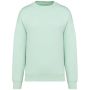 Unisex Oversized Sweatshirt Brook Green