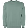 Jaya unisex crewneck sweater Dark green