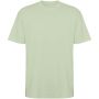 Bull short sleeve unisex oversized t-shirt Mist Green