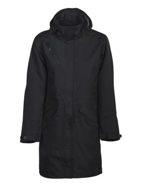 Angus Lady Black