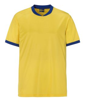 Swe-T