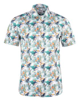 Indigo Bow 39
Shirt Regular Fit Men White