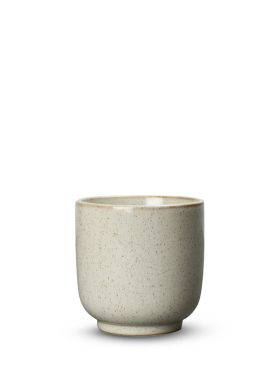 Cup Asparagus