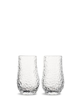 Drinking glass Swan 2pcs/set