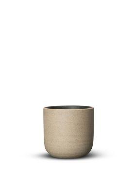 Cup Fumiko