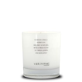 Scented Candle Björktuva