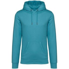 Unisex Hooded Sweatshirt Blue