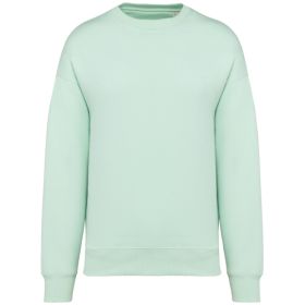 Unisex Oversized Sweatshirt Brook Green
