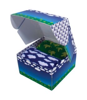 Ultimate casual socks 2-pack in gift box