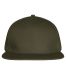Street Cap Fog Green