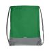Sport Gym Green