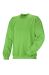 Bristol Sweatshirt Apple Green