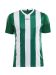Progress Jersey Stripe M Team Green