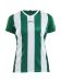 Progress Jersey Stripe W Team Green