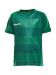 Progress Jersey Graphic JR Team Green