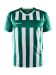 Progress 2.0 Stripe Jersey M Team Green/White