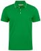 Greenville Modern sport green