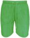 Surf Pines Swim Shorts Lime Green