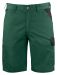 2528 SHORTS Forest Green