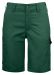 2529 SHORTS WOMEN'S Forest Green