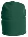 9038 LINED BEANIE One Size Forest Green