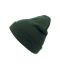 Wind Beanie Green