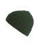 Green beanie Shore Bottle green