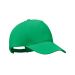 BICCA CAP green