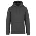 Unisex Hooded Sweatshirt Iron Grey