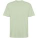 Bull short sleeve unisex oversized t-shirt Mist Green